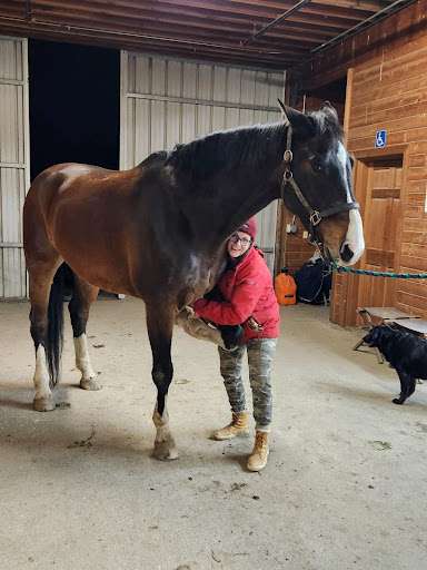 Tina works on Kingsley, the giant horse.